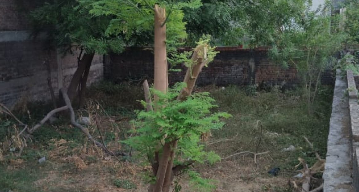 Residential Land for Sale in Murari Chauk, Shivaji Nagar Colony, Varanasi | ApnaGhar.homes