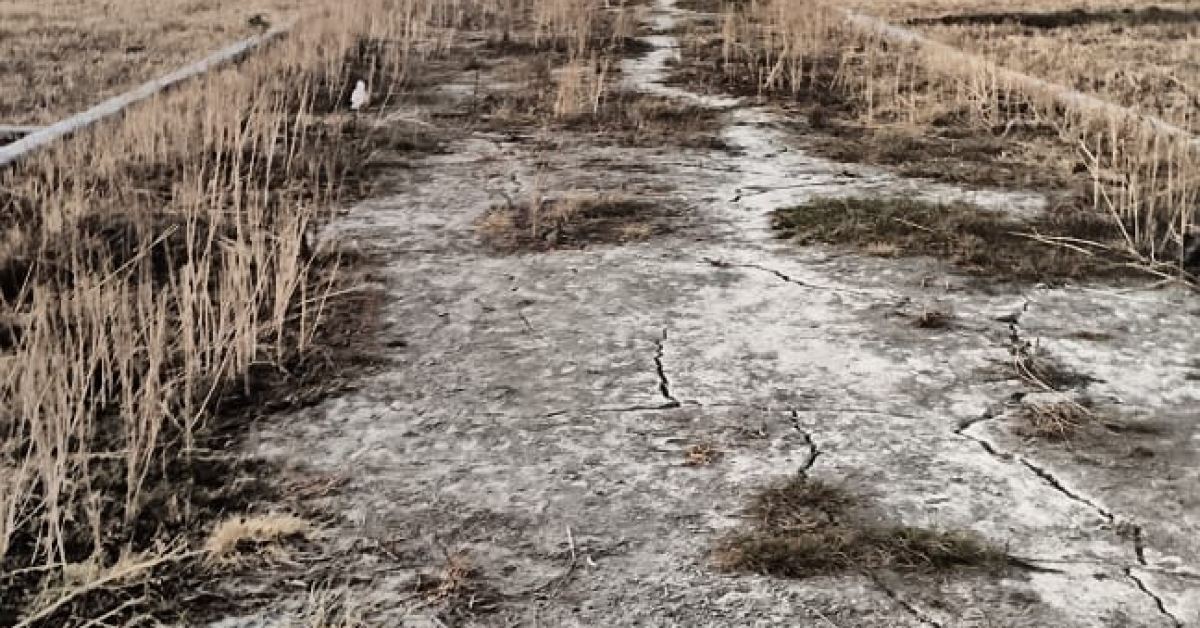 Residential Plot for Sale by “US Welfare Trust” Near Varanasi–Chandauli, Highway | ApnaGhar.homes