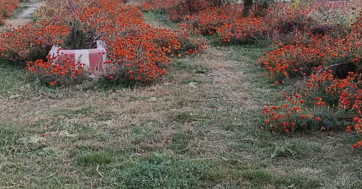 Residential Plot for Sale by “US Welfare Trust” Near Varanasi–Chandauli, Highway | ApnaGhar.homes