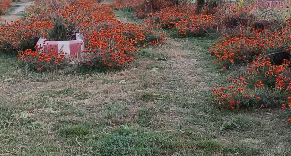 Residential Plot for Sale by “US Welfare Trust” Near Varanasi–Chandauli, Highway | ApnaGhar.homes